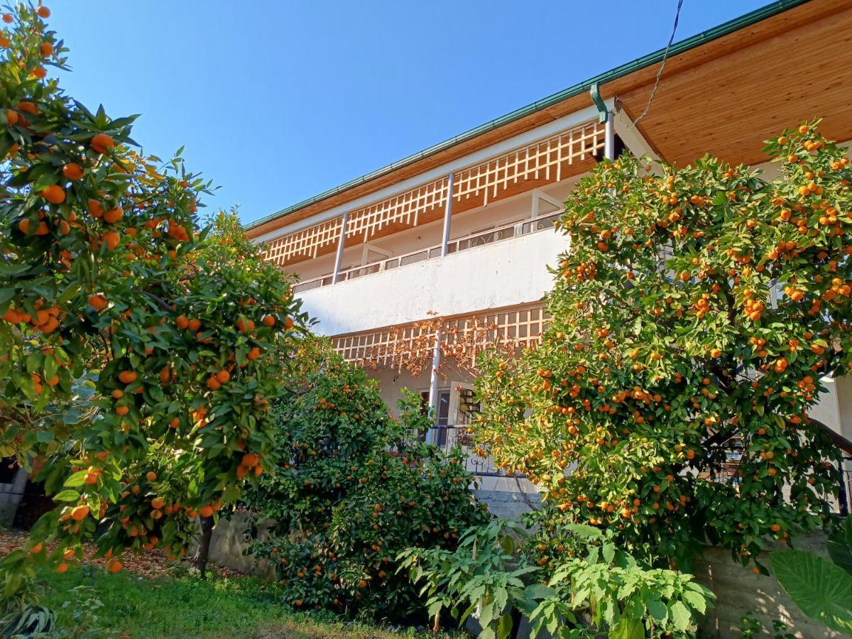 Inzhir Guest House New Athos Eksteriør bilde